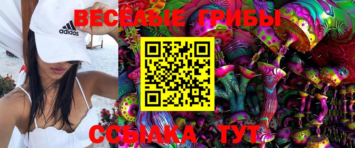 Псилоцибиновые грибы MAGIC MUSHROOMS  Вход с VPN  Алапаевск 